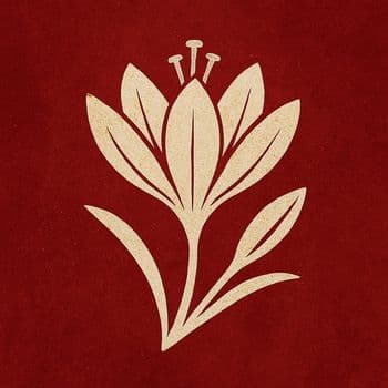 عکس پروفایل اینستاگرام undefined / zaar_paar